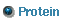 protein